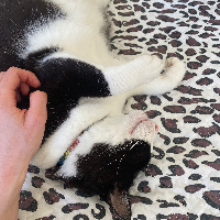 Photo of Abu (Other)