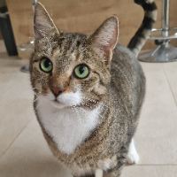 Photo of Biesel (Other)