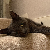 Photo of Monty (Other)