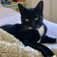 Photo of George (Other)