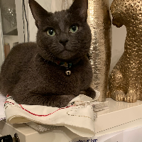 Photo of Max  (Other)