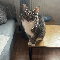 Photo of Mini (Other)