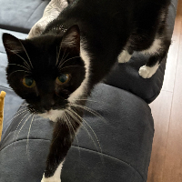 Photo of Murphy (Other)