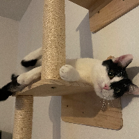 Photo of Pünktchen (Other)