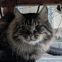 Photo of Bátor (Other)