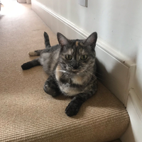 Photo of Delilah  (Other)