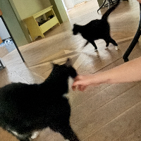 Photo of Snippy & Archy (Other)