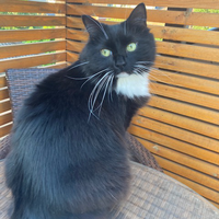 Photo of Mika (Other)