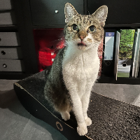 Photo of Mascha (Other)