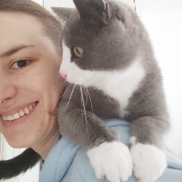 Photo of Sam (Moggy)