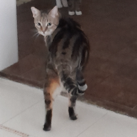 Photo of Freya (Other)