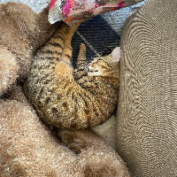 Photo of Mitchie (Other)