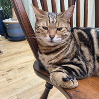 Photo of Fizzy (Other)