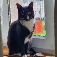 Photo of Hera (Other)