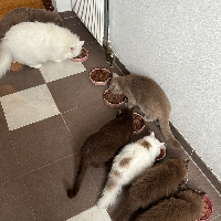 Photo of Rasselbande 🐾 (Other)