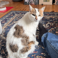 Photo of Indira (Other)