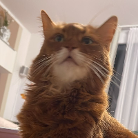 Photo of Donna  (Other)