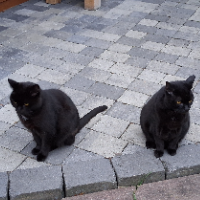 Photo of Kurzbesuch bei Diego&Charlos♥.. (Other)