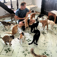 Photo of Some of the 104 cats cared for in Vietnam (Moggy)