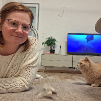 Photo of 2025 Bran (British Shorthair)