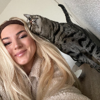 Photo of Mogli  (Tabby)