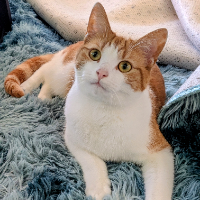 Photo of Frank  (Other)