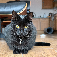 Photo of Filthy (Oct 2025) (Other)