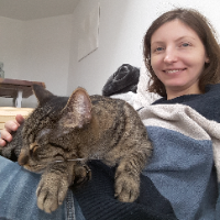 Photo of Deku (Moggy)