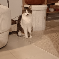 Photo of Détective Pastis ! (Other)