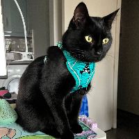 Photo of Coffee, love of my life  (Other)