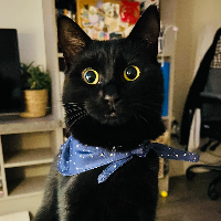 Photo of Lady Coffee (Other)