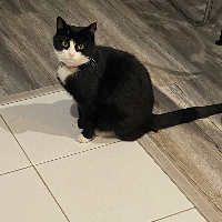 Photo of Tallulah (Other)