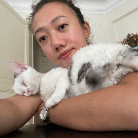 Photo of Victoria  (Devon Rex)