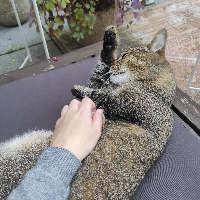 Photo of Peat (Other)