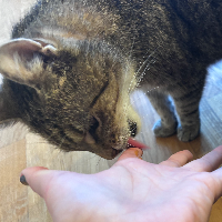 Photo of Bobby  (Other)