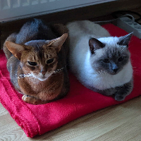 Photo of Herbert und Marusya (Other)