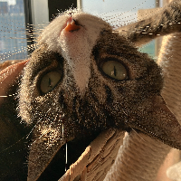 Photo of Lilla (Other)