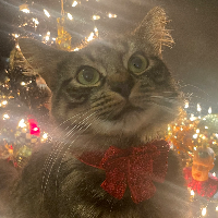 Photo of Stormy (Other)