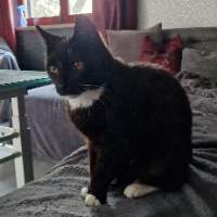 Photo of Jerry (Other)