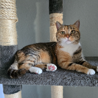 Photo of Nana (Other)