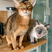 Photo of Herbert und Marusya (Other)