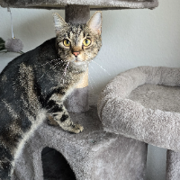 Photo of Socke (Other)