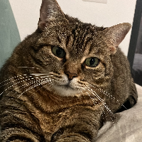 Photo of Eleine (Other)