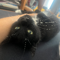 Photo of Jerry (Other)