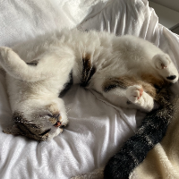 Photo of Kevin (Other)