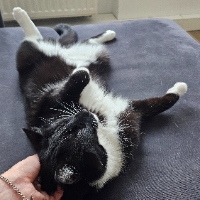 Photo of Pablo (Other)