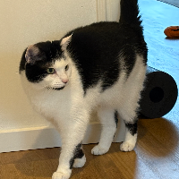 Photo of Juffi (Other)