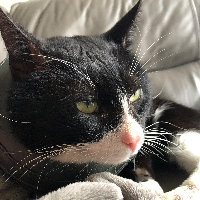 Photo of Freddy (Other)