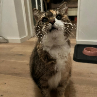 Photo of Becksy (Other)