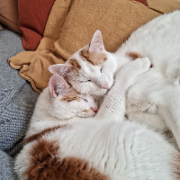 Photo of Merlin und Gandhi (Other)